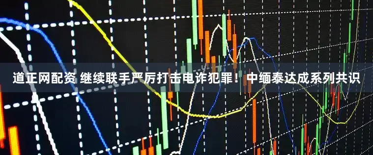 道正网配资 继续联手严厉打击电诈犯罪！中缅泰达成系列共识