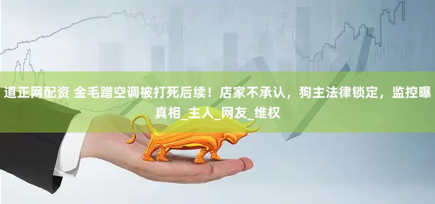 道正网配资 金毛蹭空调被打死后续！店家不承认，狗主法律锁定，监控曝真相_主人_网友_维权